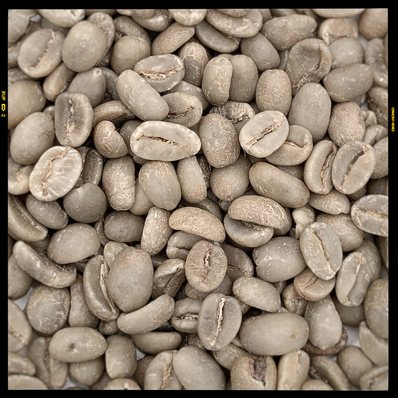Green Cofee Beans