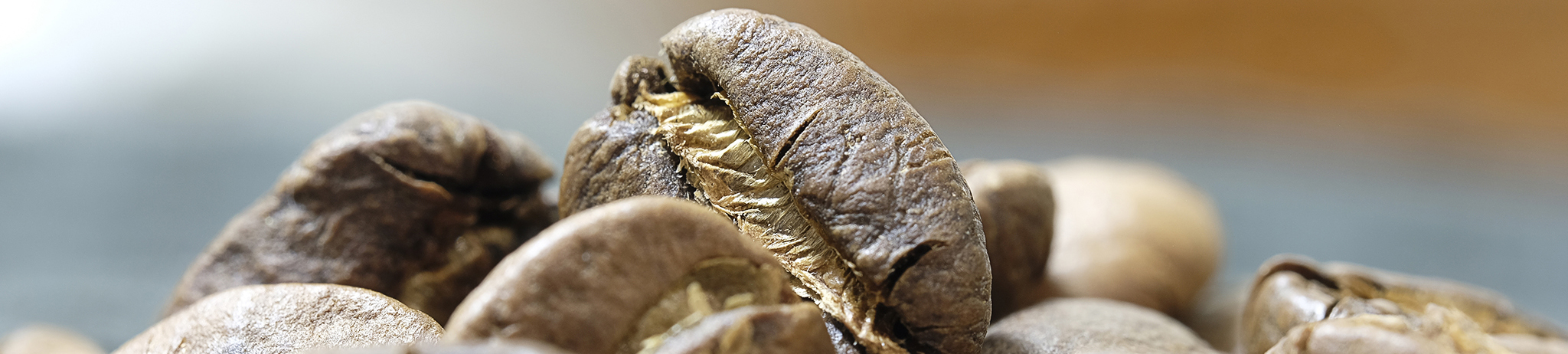 Coffee Beans. Photo by Flavio.R Spedalieri